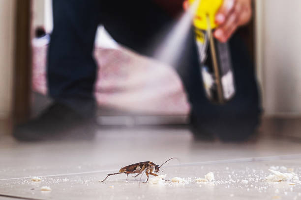Best Cockroach Control Services  in Clayton, NJ
